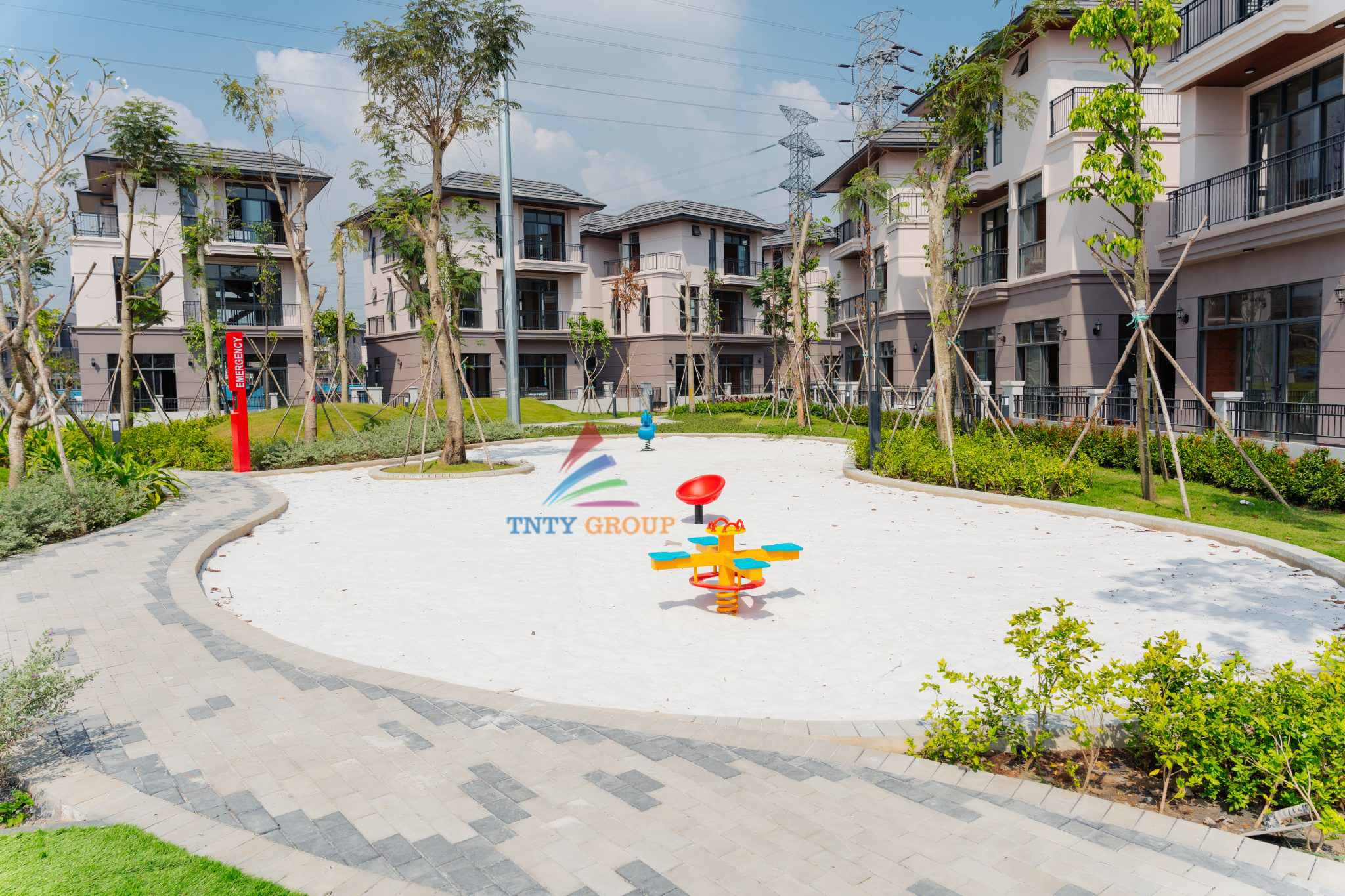 Shrimps help develop social interaction